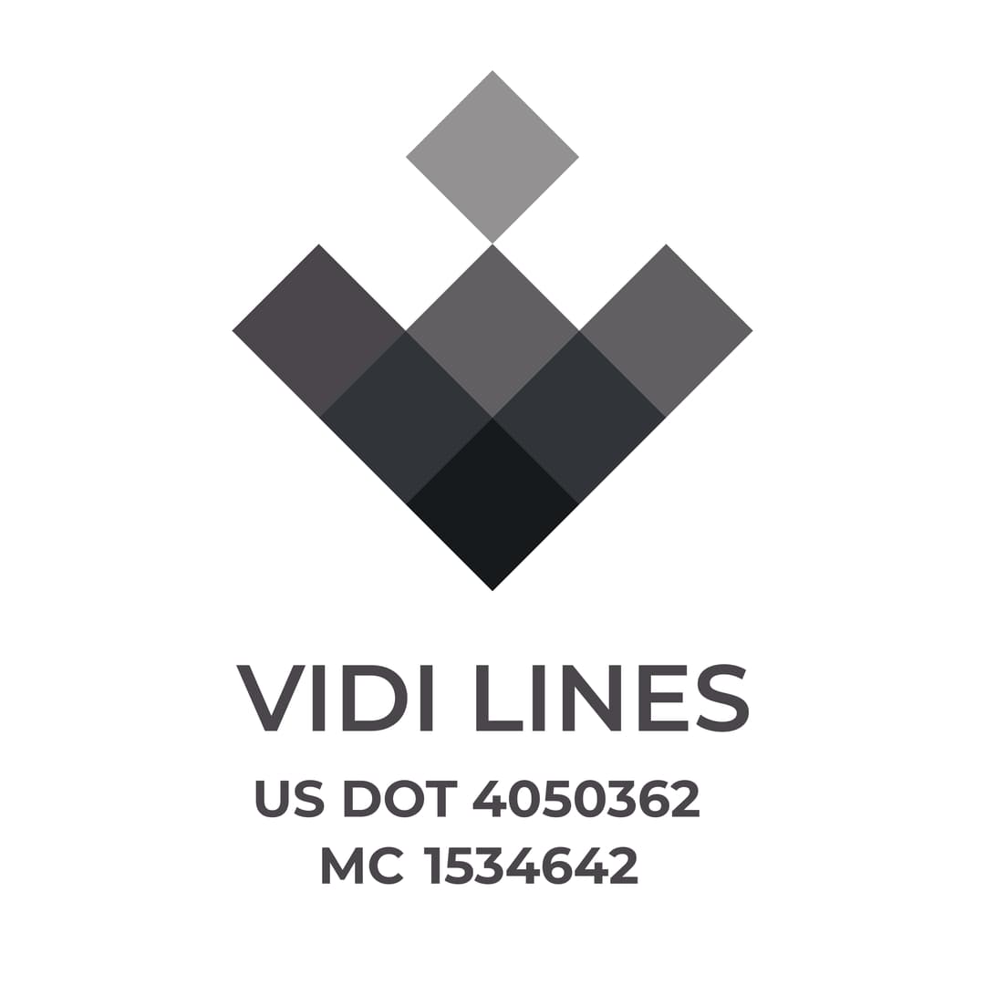 VIDI LINES logo