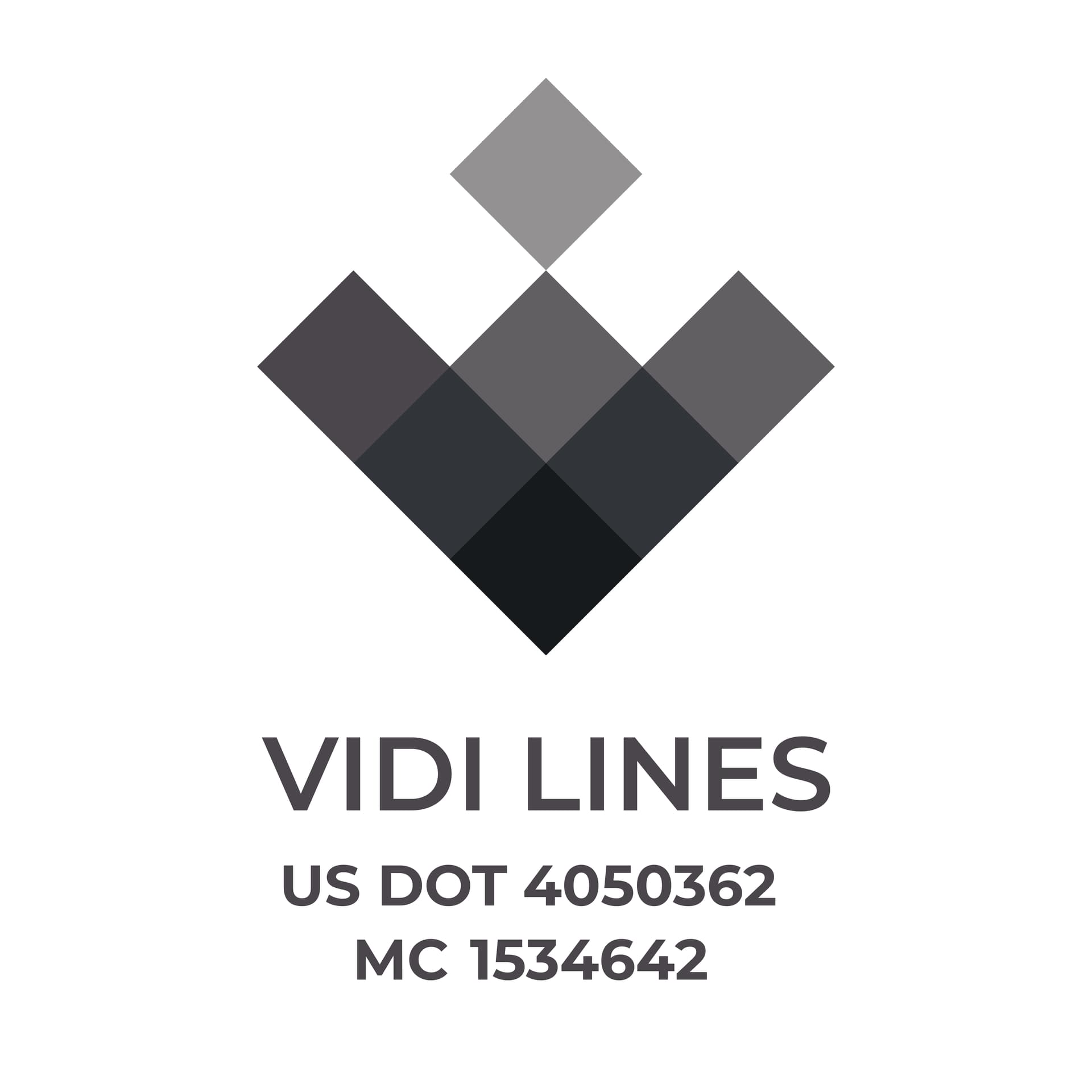 VIDI LINES logo